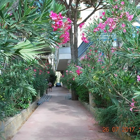 Fiona's Sea View شقة *